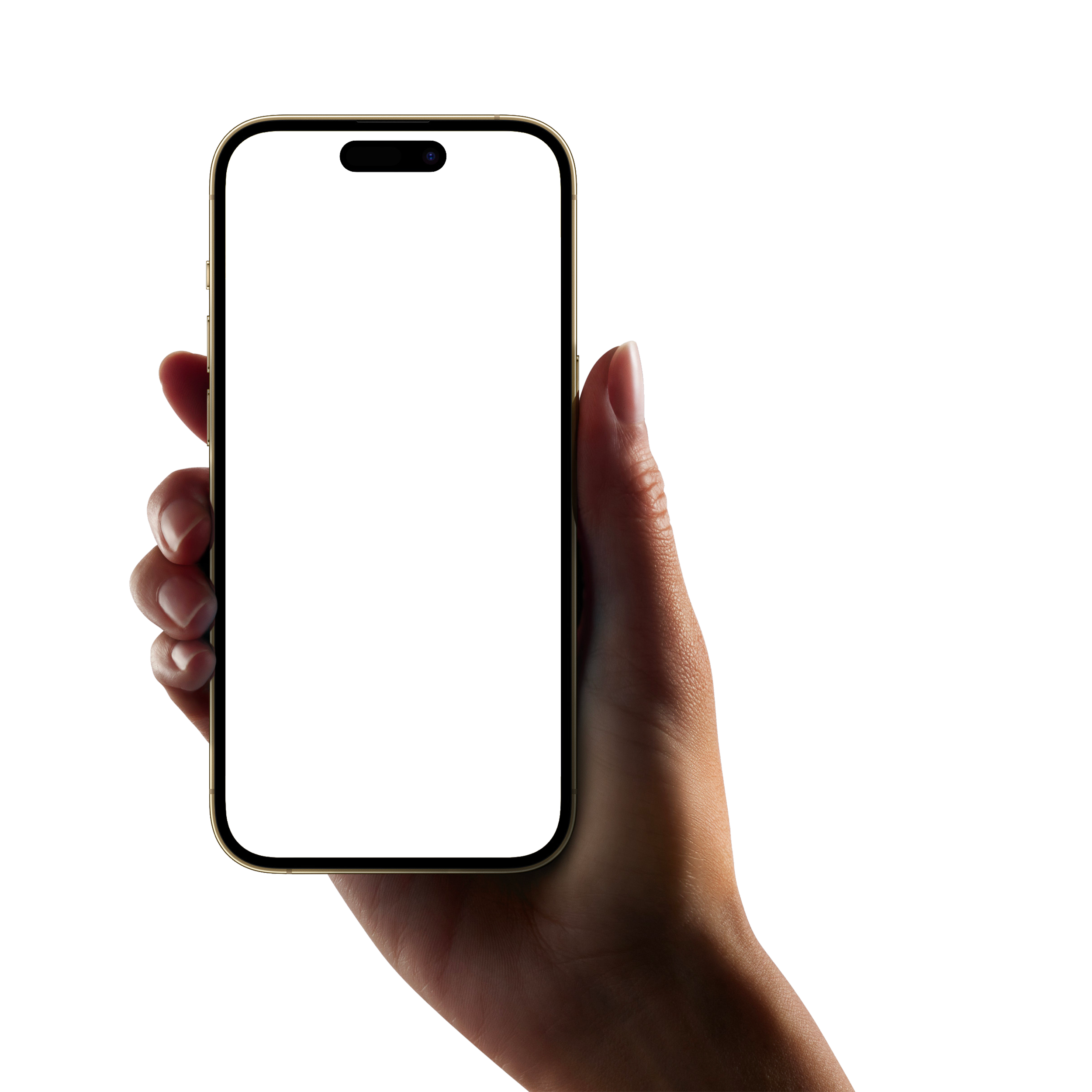 Programėlės peržiūra telefone